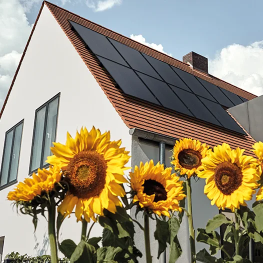 Gründe für Solarenergie